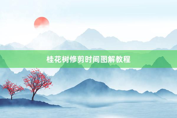 桂花树修剪时间图解教程