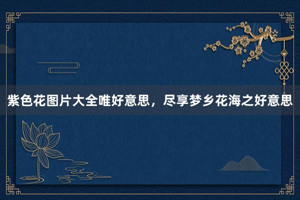 紫色花图片大全唯好意思，尽享梦乡花海之好意思