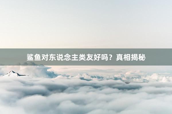 鲨鱼对东说念主类友好吗？真相揭秘