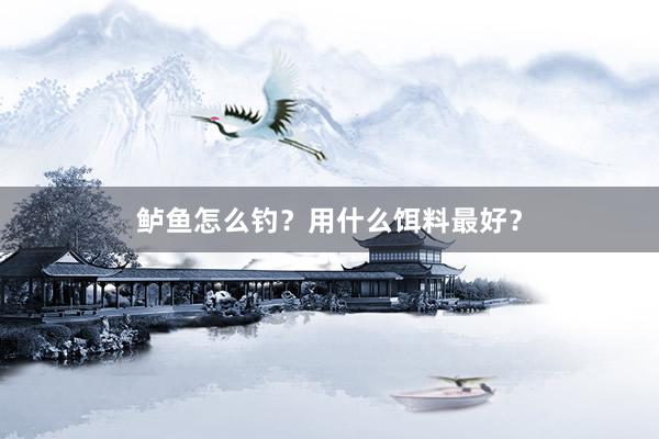 鲈鱼怎么钓？用什么饵料最好？
