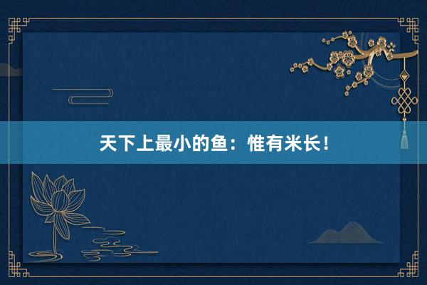 天下上最小的鱼：惟有米长！