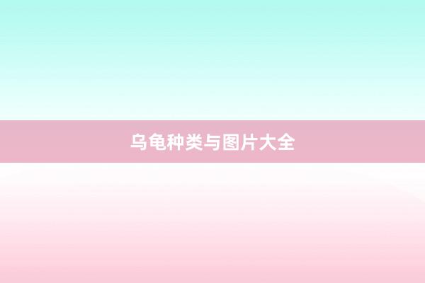 乌龟种类与图片大全