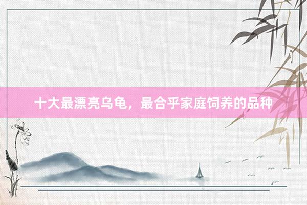 十大最漂亮乌龟，最合乎家庭饲养的品种