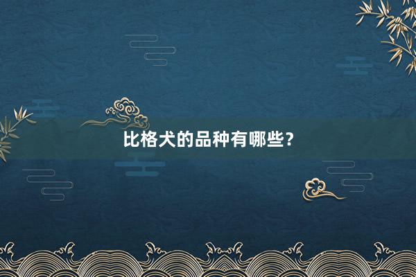 比格犬的品种有哪些？
